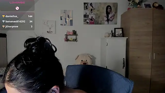 Veronikolsen- webcam