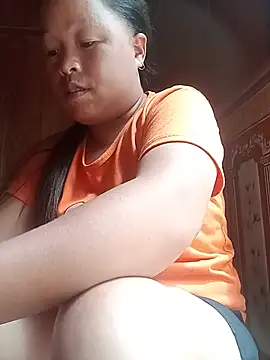 Ip34 webcam