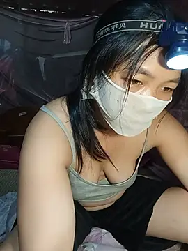 Hiha-nn webcam