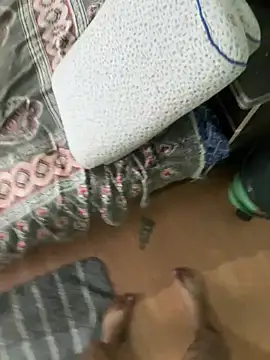 Mumbai_Stripper webcam