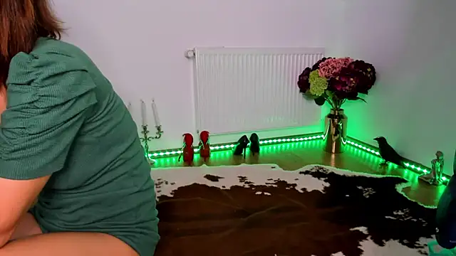 ViciousSiren webcam