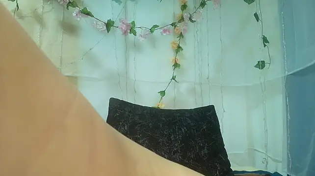 MSSPAOLA webcam