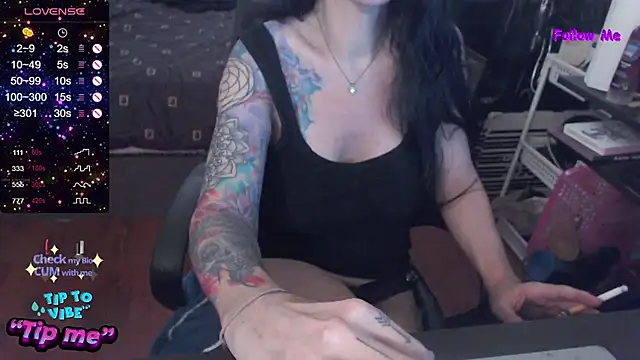 VenusX webcam