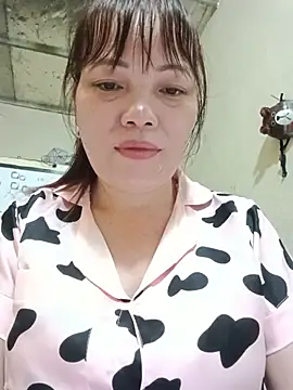 Sana-vn webcam