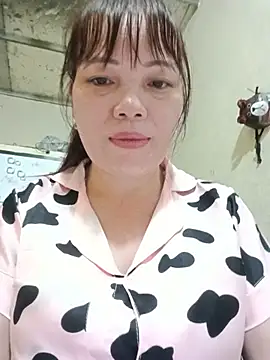 Sana-vn webcam
