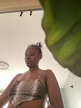 Sis27 webcam