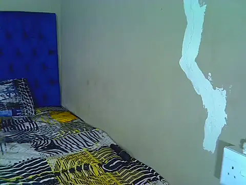 Honey--Bear webcam