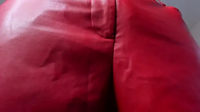 B_Wild webcam