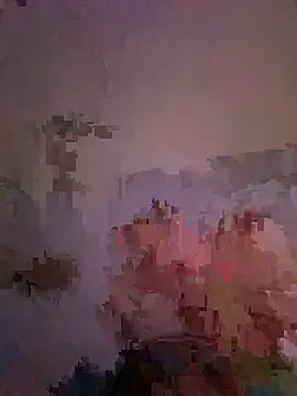 Enjoyedmine webcam