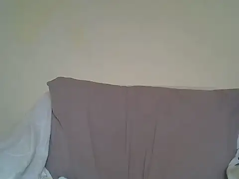 Delicious-D webcam