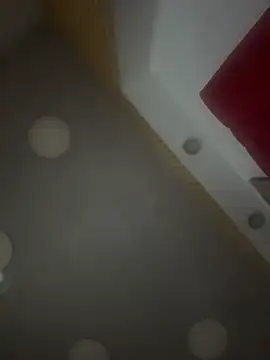 LiamWildx20 webcam