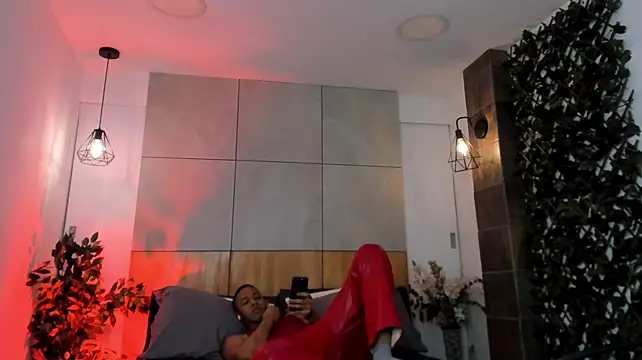 B_Wild webcam