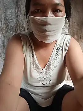 Hiha-nn webcam