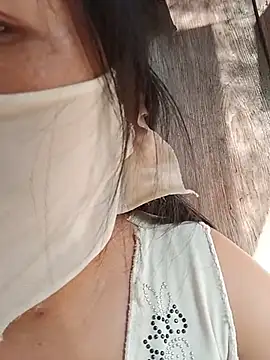 Hiha-nn webcam