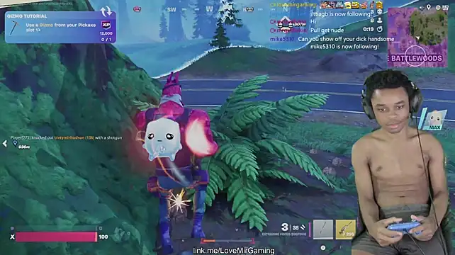 lovemirgaming