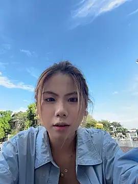 MS-888 webcam