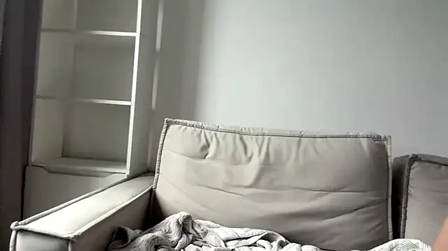 art_object webcam