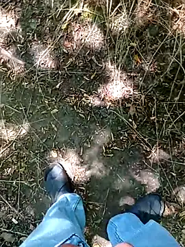 bolulupideci14 webcam