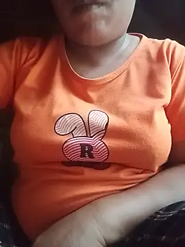 Ip34 webcam