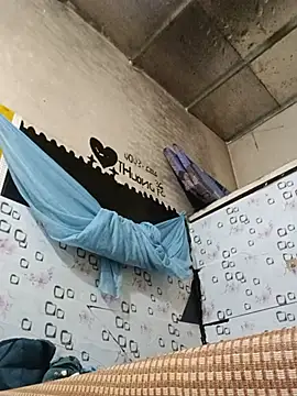 Sana-vn webcam