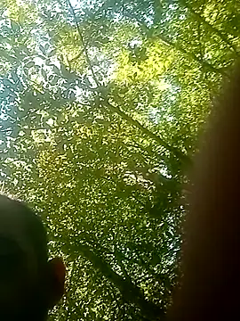 bolulupideci14 webcam