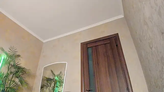 Diamond_D_ webcam