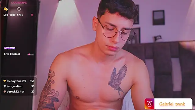 I_Gabriel webcam