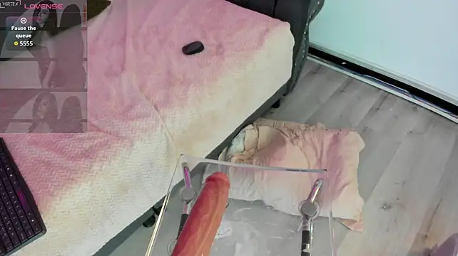 Abbyy_stone webcam