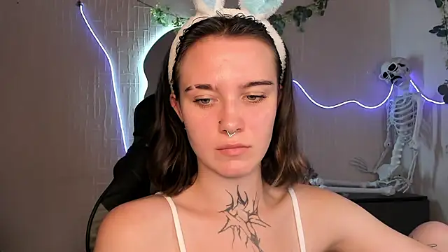Elastikisss webcam