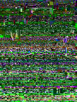 lindaandtony webcam