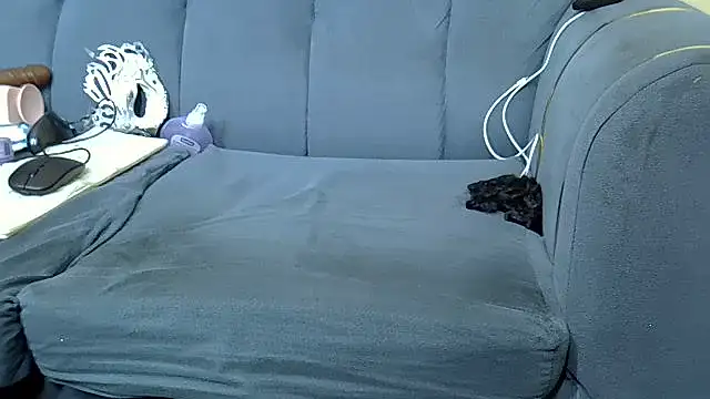 sweetronette webcam