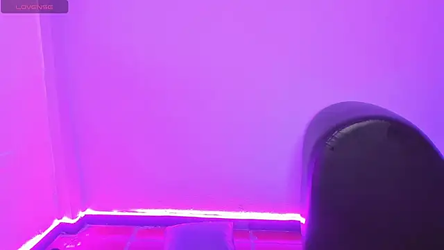 WhyNotDestroy webcam