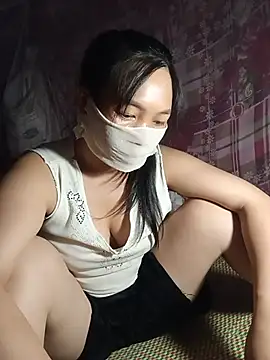 Hiha-nn webcam