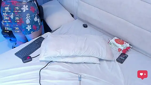Reginavegaa webcam