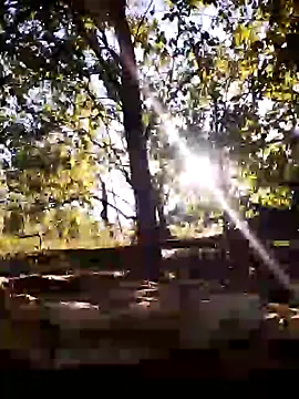 Flacara100 webcam