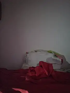 altinya webcam