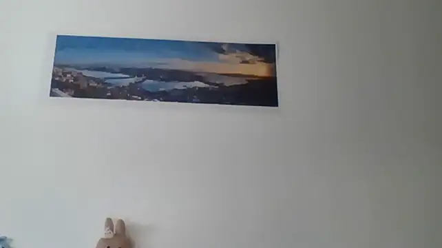 Ju-Hot webcam
