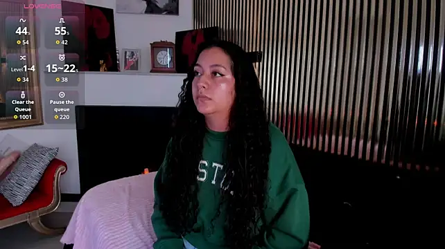 paulys_ webcam