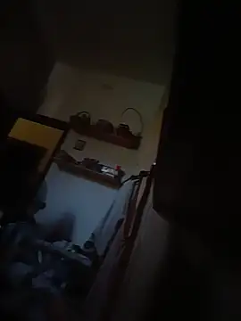 Didino2307 webcam