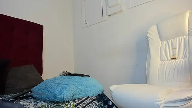 Blue_angel1 webcam
