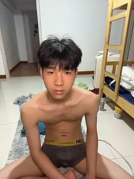 qomelo webcam