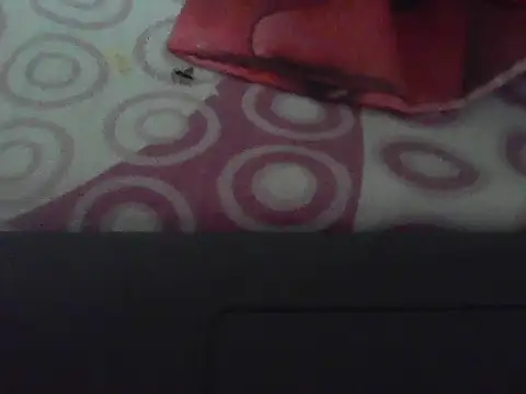 rarindam17 webcam