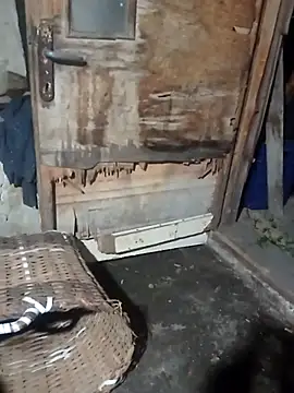 bolulupideci14