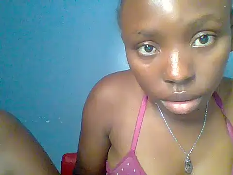 Chocolate-brownie webcam