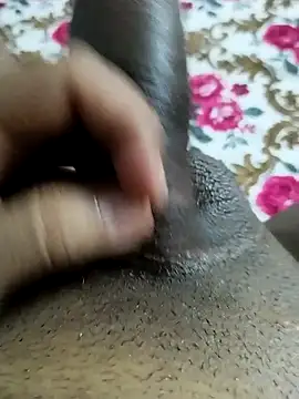desi_pb02 webcam