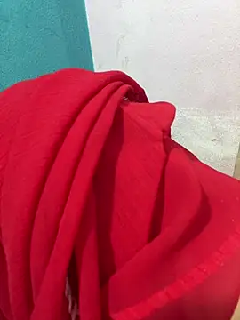 Anshika_Arya live cam on StripChat