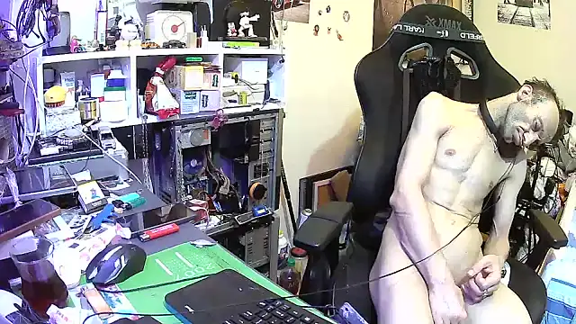 Aktorihann