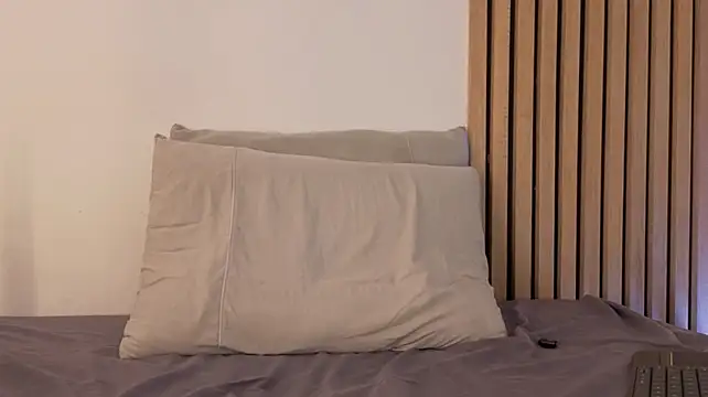 sofiesoft webcam
