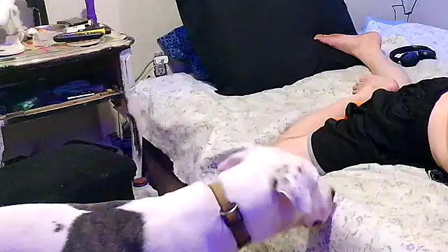 PornStro921 live cam on StripChat
