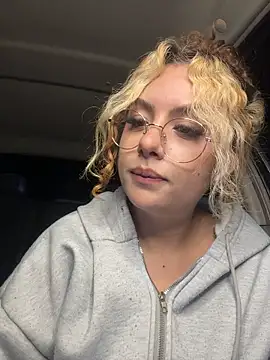Joyce-fire webcam
